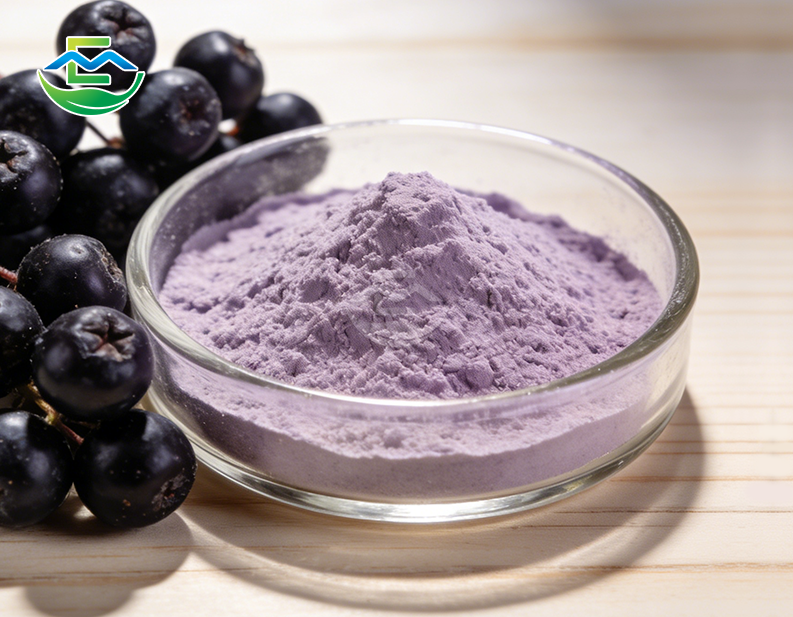 Aronia Fruit Powder